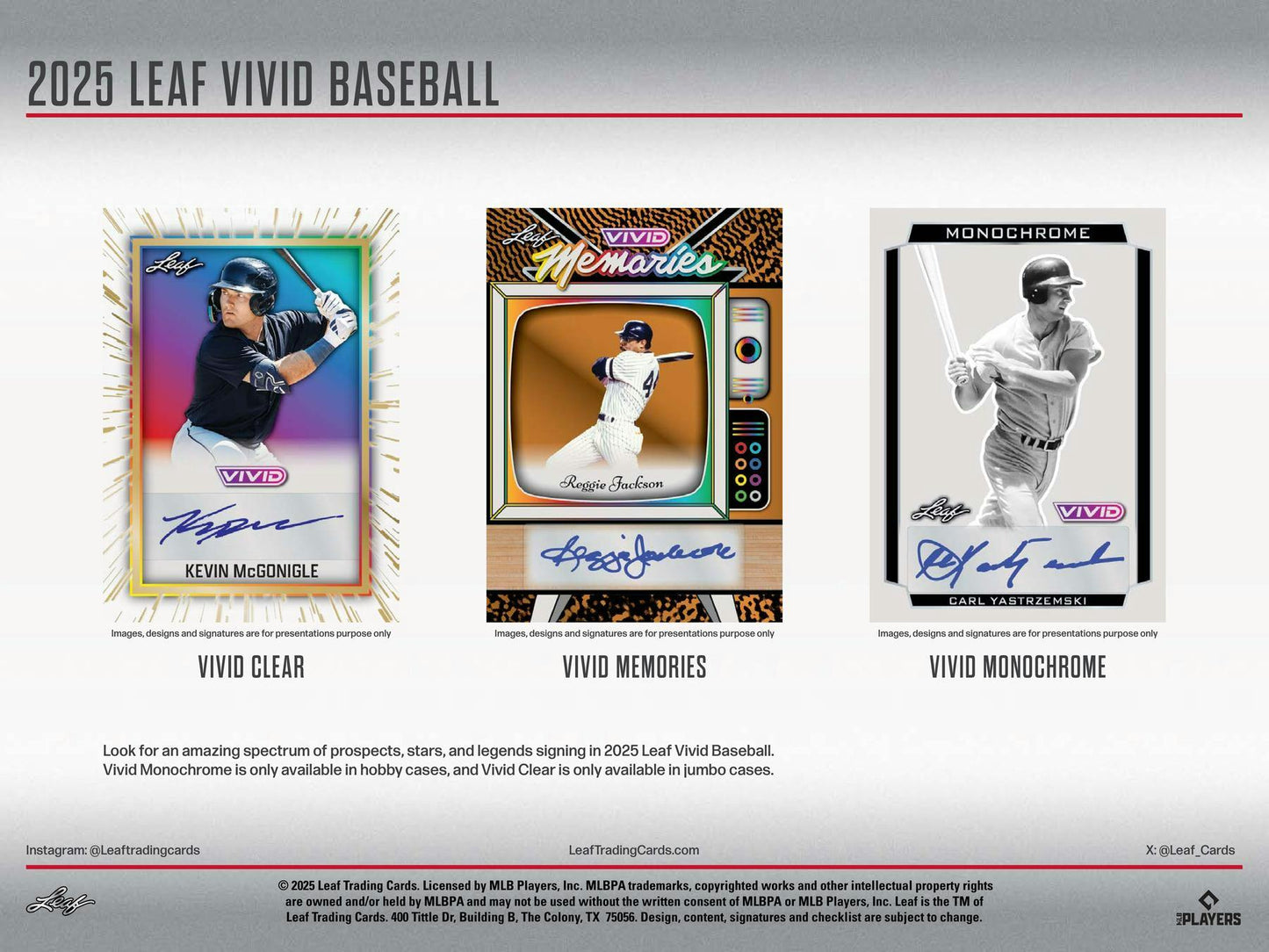2025 Leaf Vivid Baseball Hobby